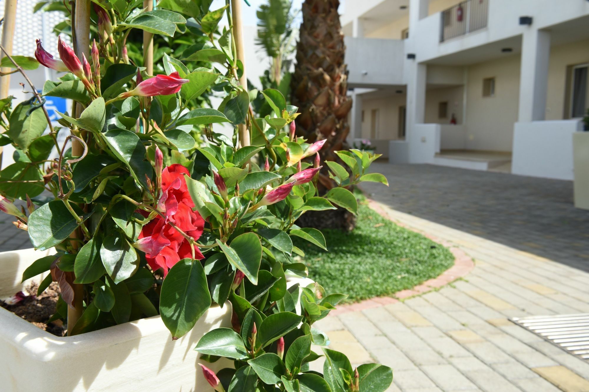 Aparthotel Donnosanto 3*